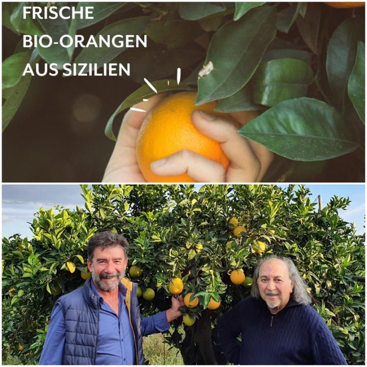 Orangen-Kampagne