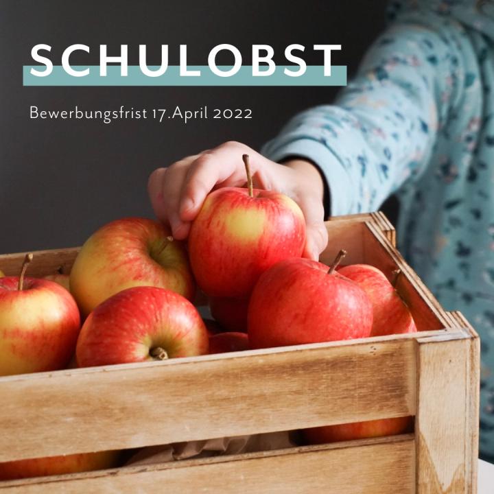 Obst und Snackgemüse für Schulen