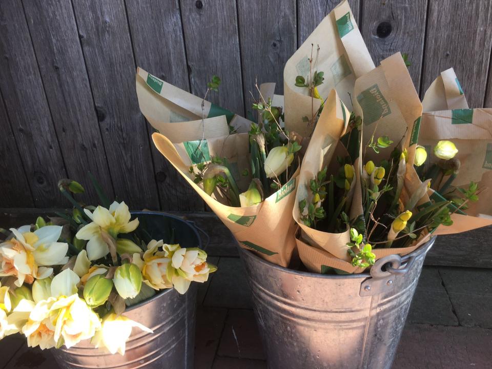 Slow Flowers: nachhaltige Schnittblumen