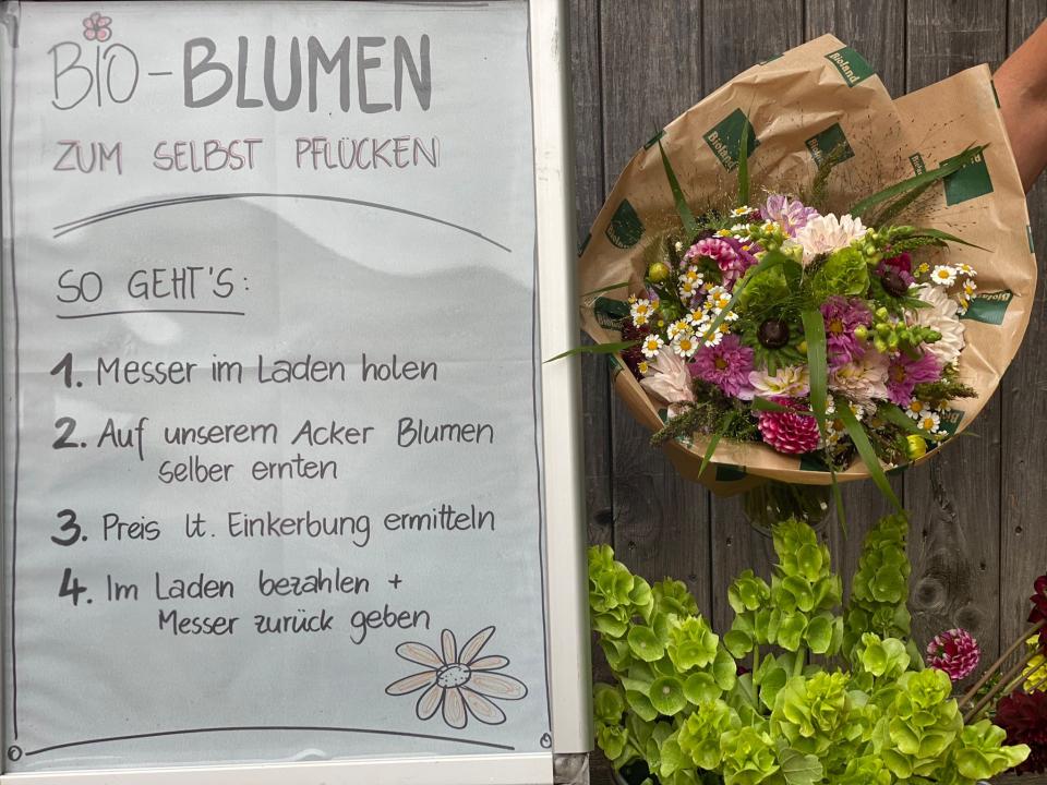 Blumen für Selbstpflücker
