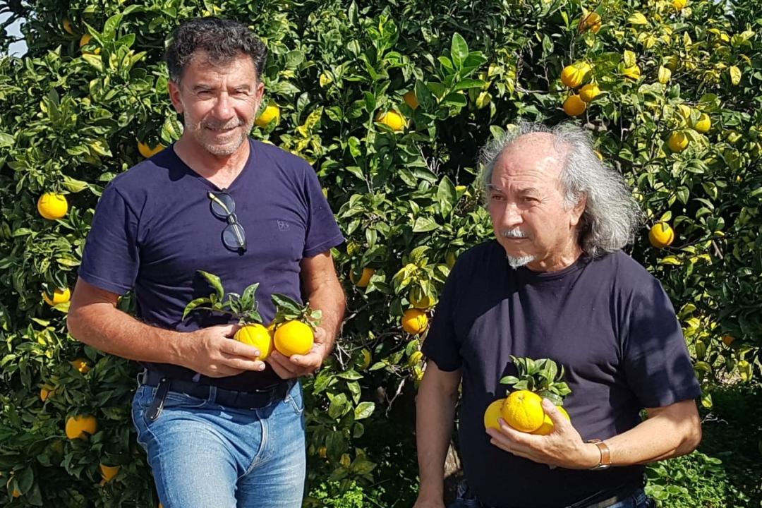 Militello und DiGrado