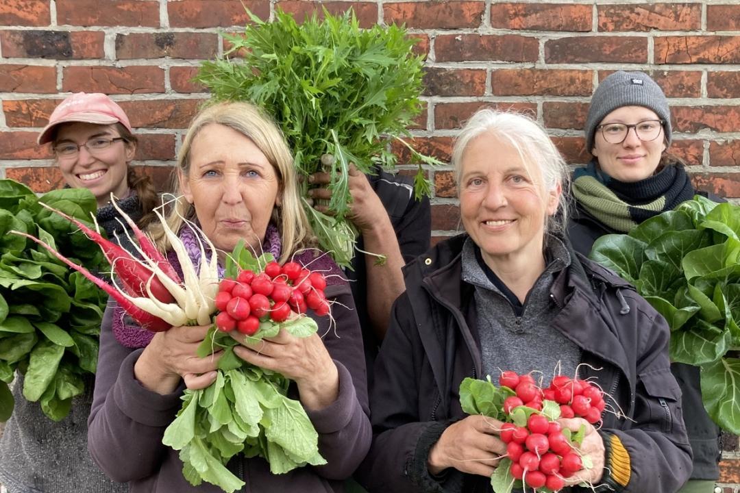 Gärtnereiteam mit Frühlingsernte