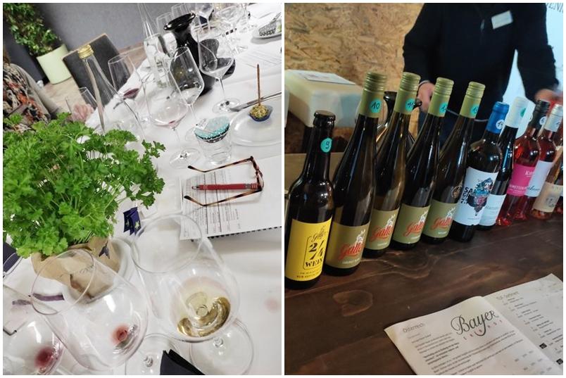 Wein-Schulung und Weinmesse