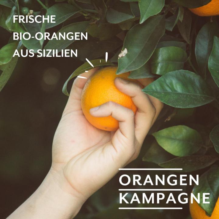 Orangenkampagne