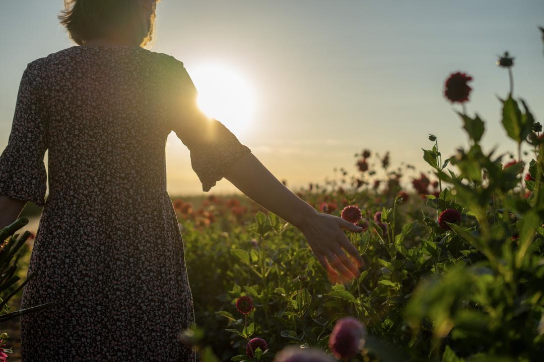 Blumen Saison Workshops