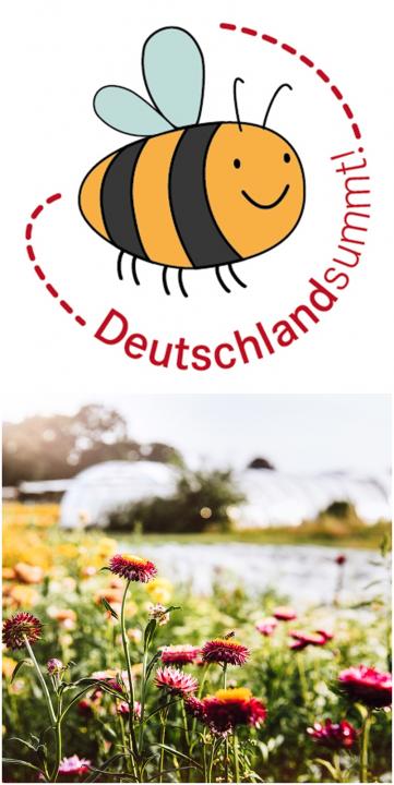 Deutschland sumt Logo