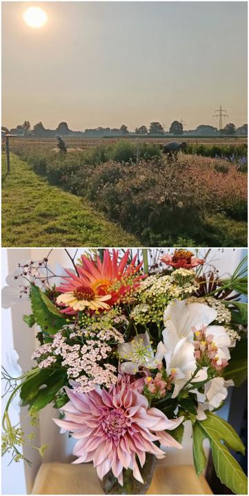 Blumen ernte und Blumenstrauß
