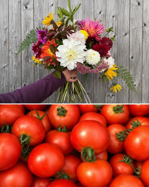 Blumenstrauß und saftige Tomaten