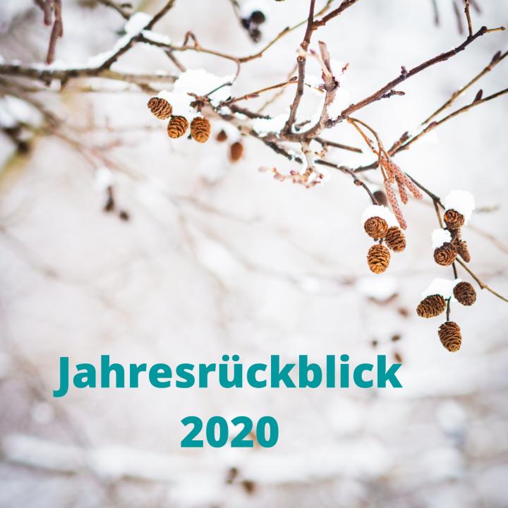 2020 - 2021